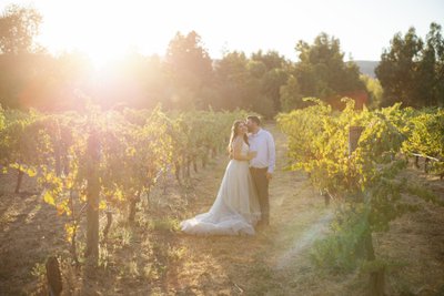 Cline Family Cellars Vineyard Wedding Photos