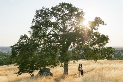 Sacramento Oak Tree Engagement 