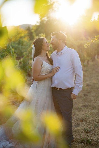 Cline Family Cellars Vineyard Wedding Portrait