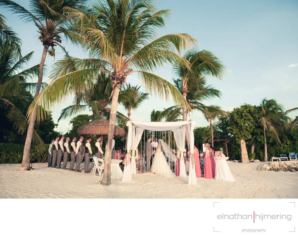 beach wedding aruba palmtrees