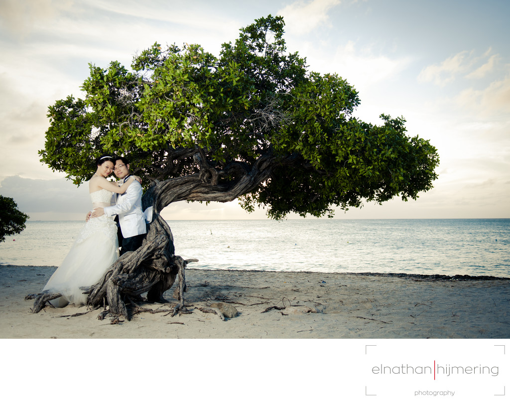 bride and groom divi tree