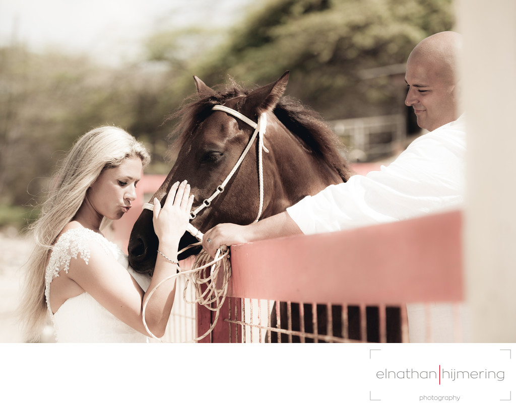 bride and groom horse
