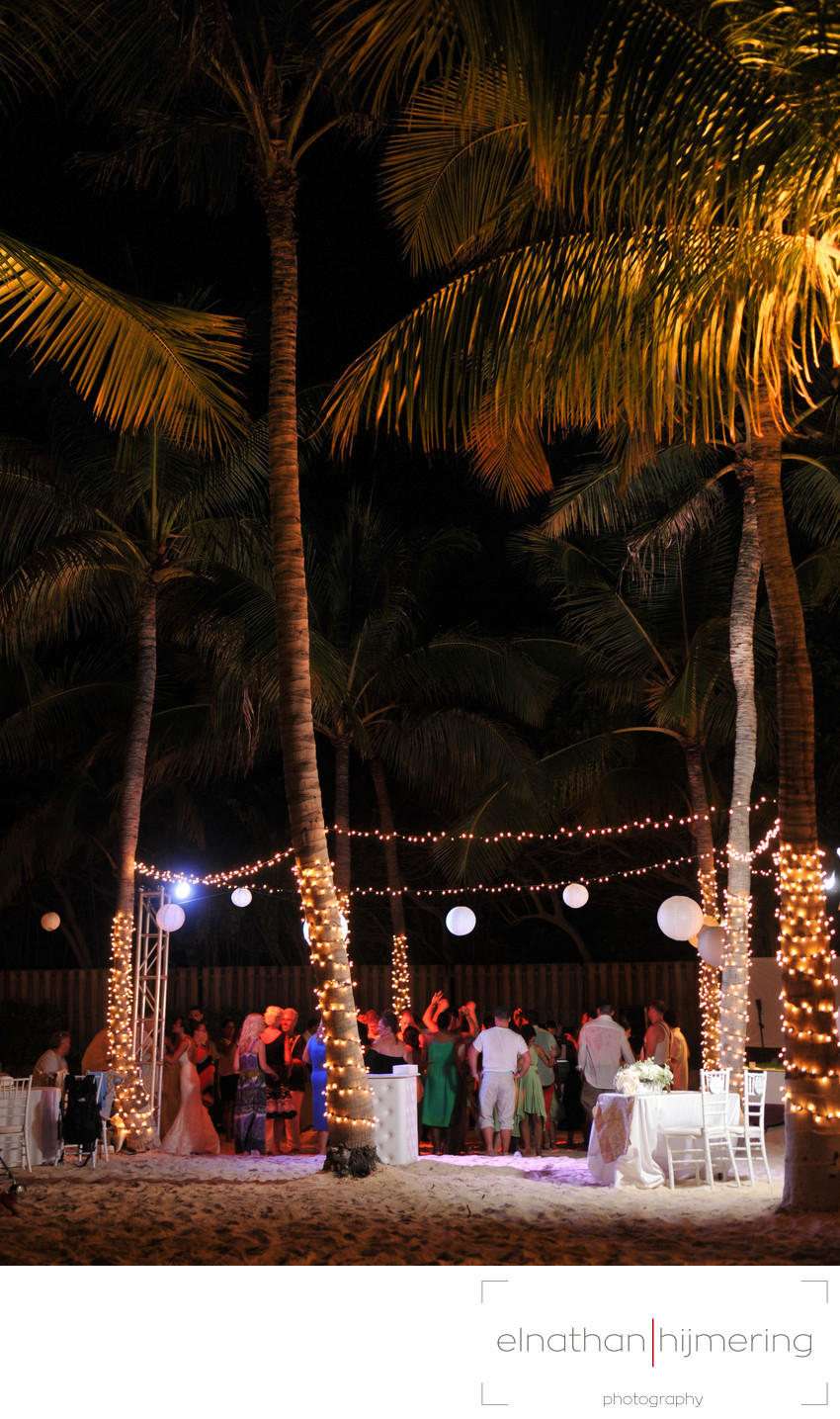 palm tree reception