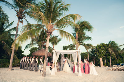 beach wedding aruba palmtrees