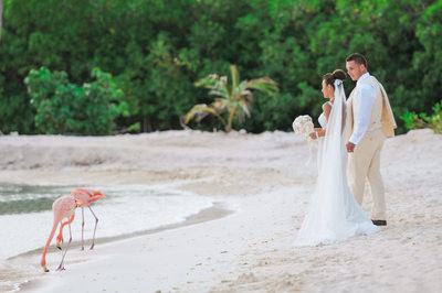 bride groom flamingo beach