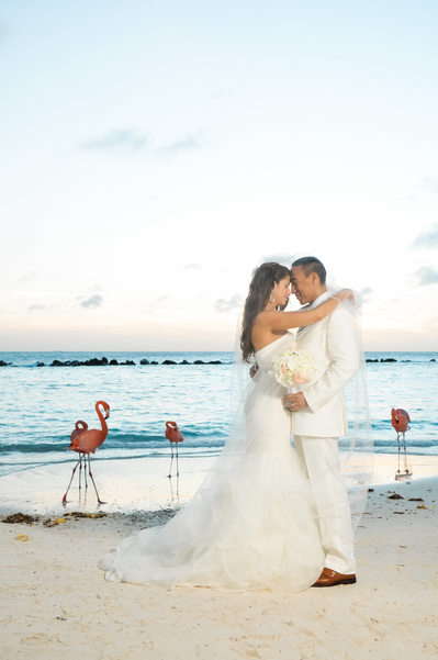 bride and groom flamingos