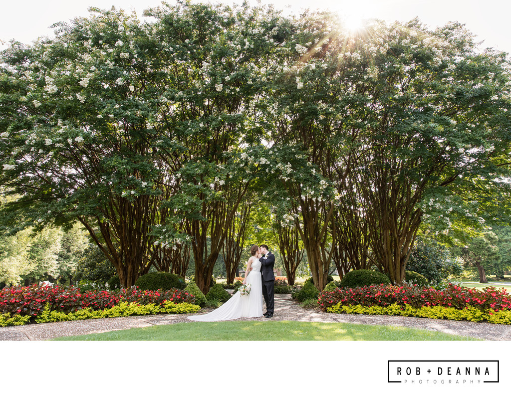 Memphis Wedding Photographers Overton Park Kiss