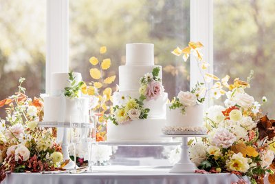 Memphis Wedding Photographer Orion Hill Wedding Cake