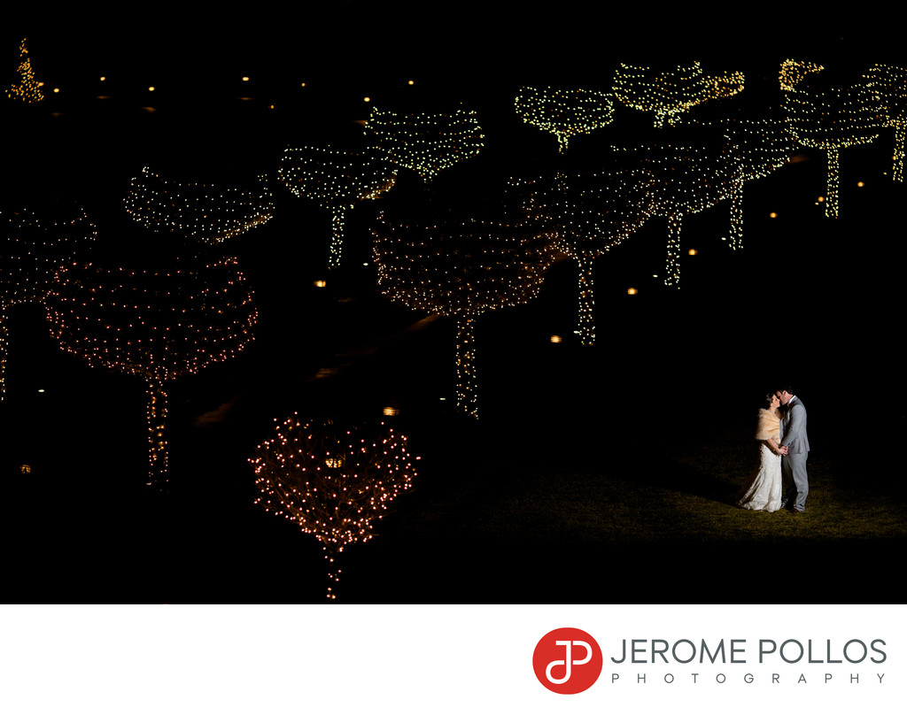 Coeur d'Alene Wedding Portrait Tree Lights Resort