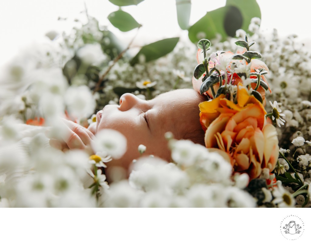 Profile photo newborn session with fresh flowers