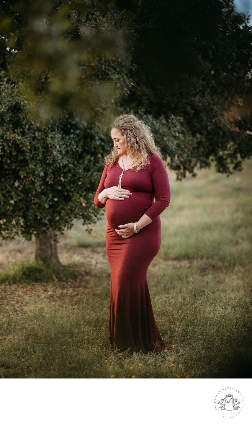 Maternity Session in the forest