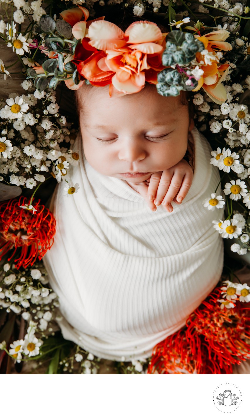 Newborn Session with fresh flowers