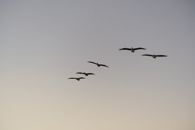 engagement photos on the beach MiCri80