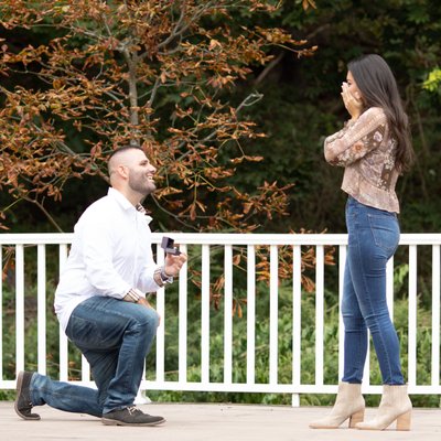 surprise marriage proposal