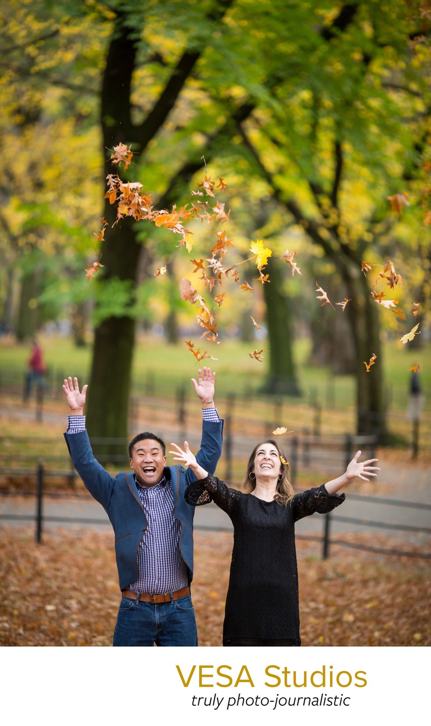 Central Park Engagement