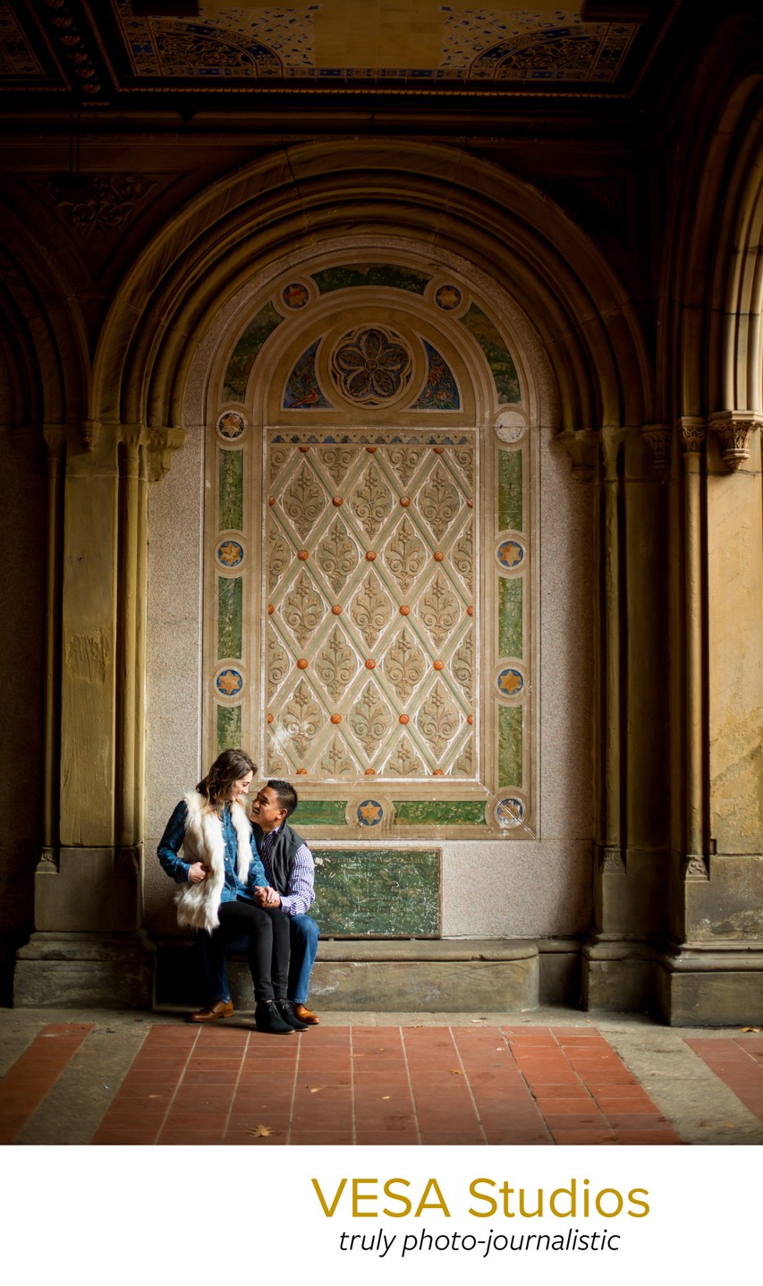 Central Park Engagement