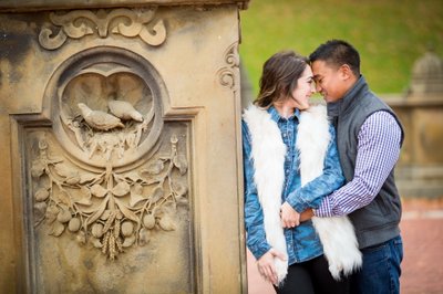 Central Park Engagement