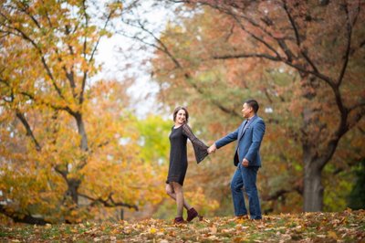 Central Park Engagement