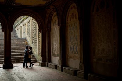 Central Park Engagement