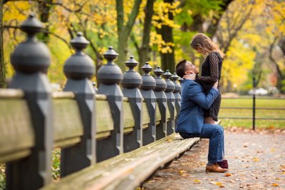 Central Park Engagement