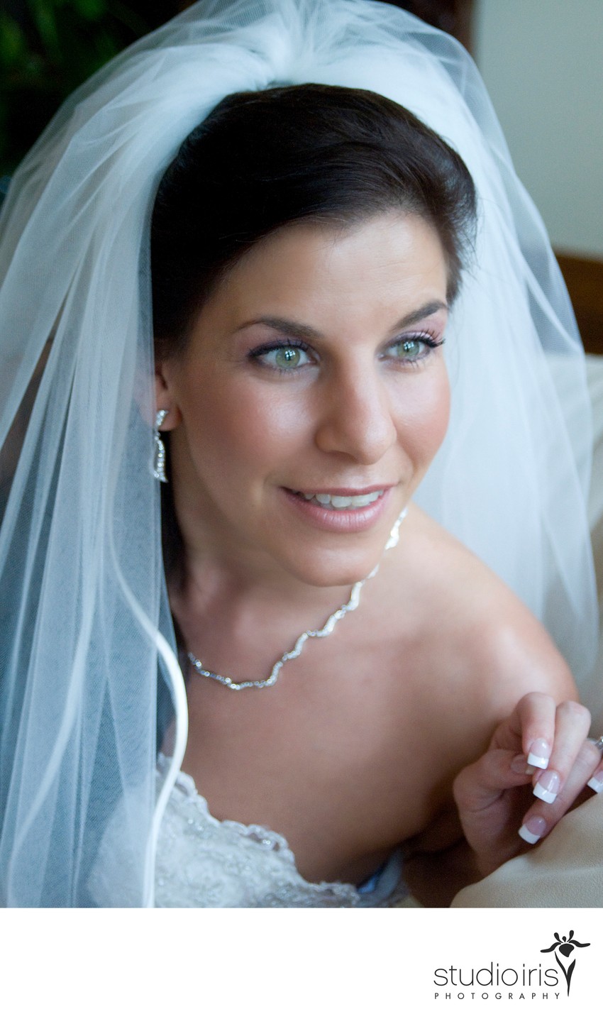 Bridal portrait by window