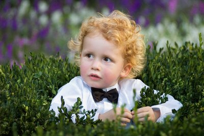 Little boy with bowtie sitting in a hedge at a wedding in the garden at Montreal’s Chateau Ramezay