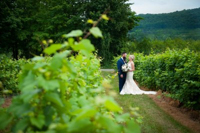 Newlyweds through the vines at La Bullerie vineyard 