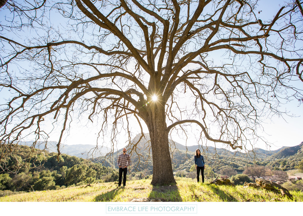Engagement Portrait Under a Santa Monica Mountains Oak