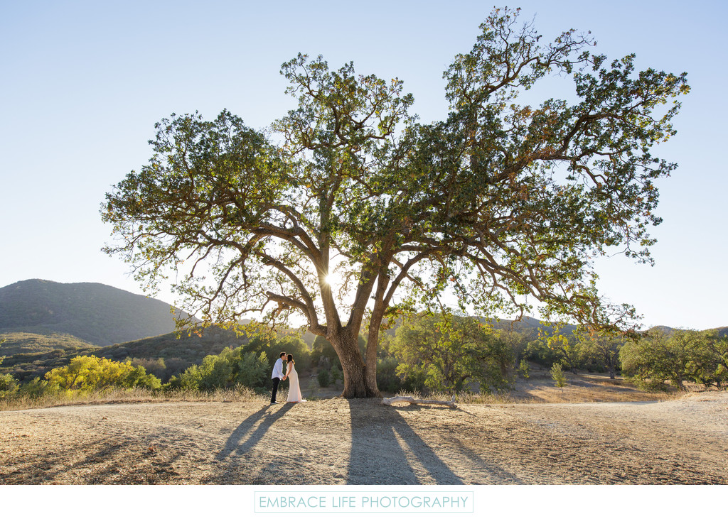 Santa Monica Maternity Photographer