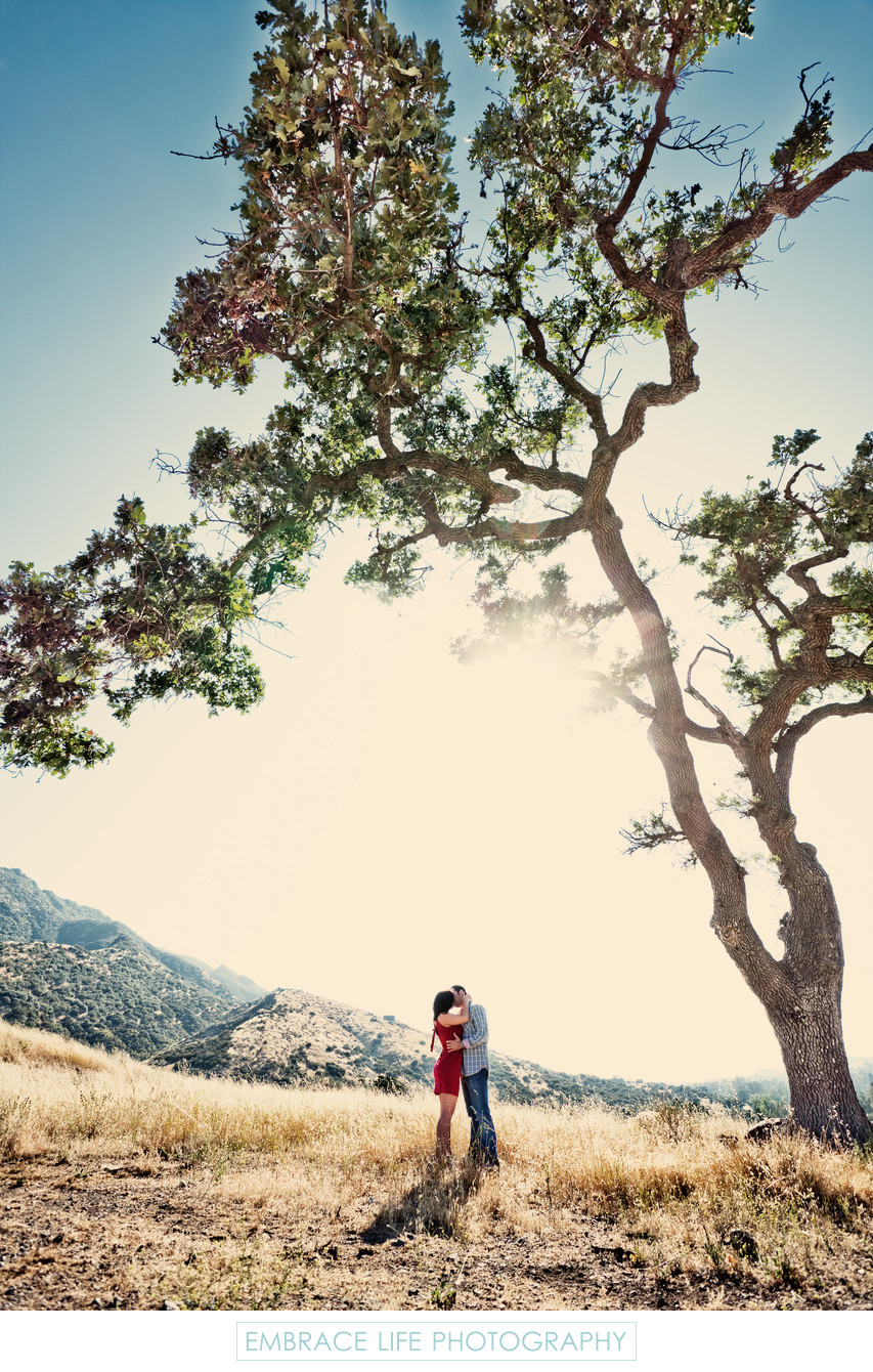 Engagement Photography Among Oak Trees and Mountains
