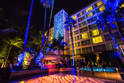 Lighted Purple Palm Trees and Colorful Patio