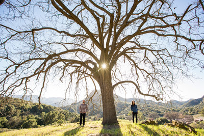 Engagement Portrait Under a Santa Monica Mountains Oak
