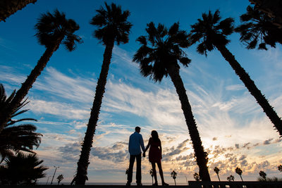 Santa Monica Engagement Portrait Palm Tree Silhouette