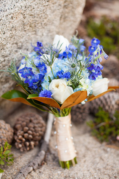 Tahoe Wedding Photographer, Heavenly Valley