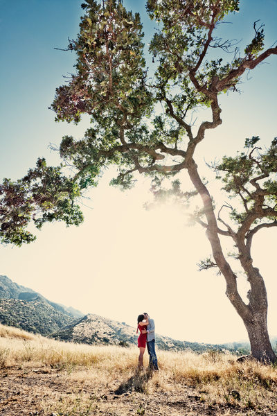 Engagement Photography Among Oak Trees and Mountains