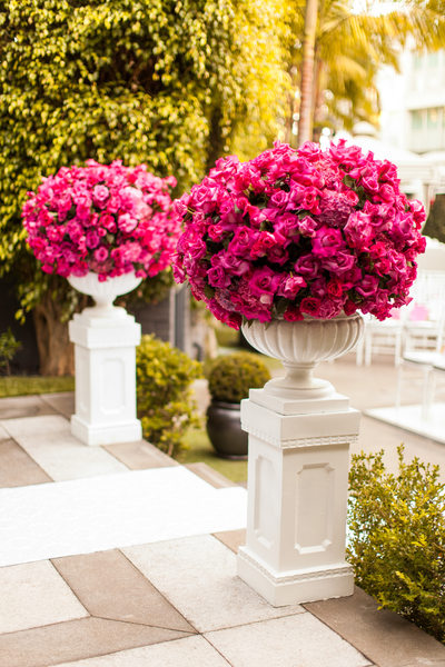 Huge Pots of Fuchsia Roses on Pedestals