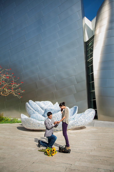 Los Angeles Marriage Proposal at Disney Concert Hall