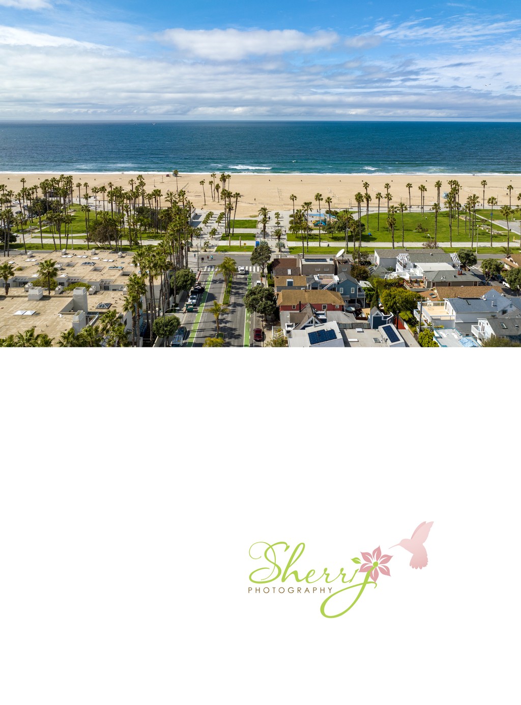 Aerial of Ocean Park and the Pacific Ocean