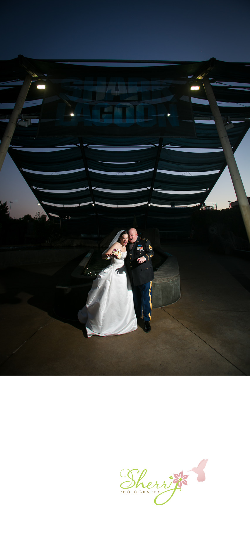 Bride Groom Shark Lagoon