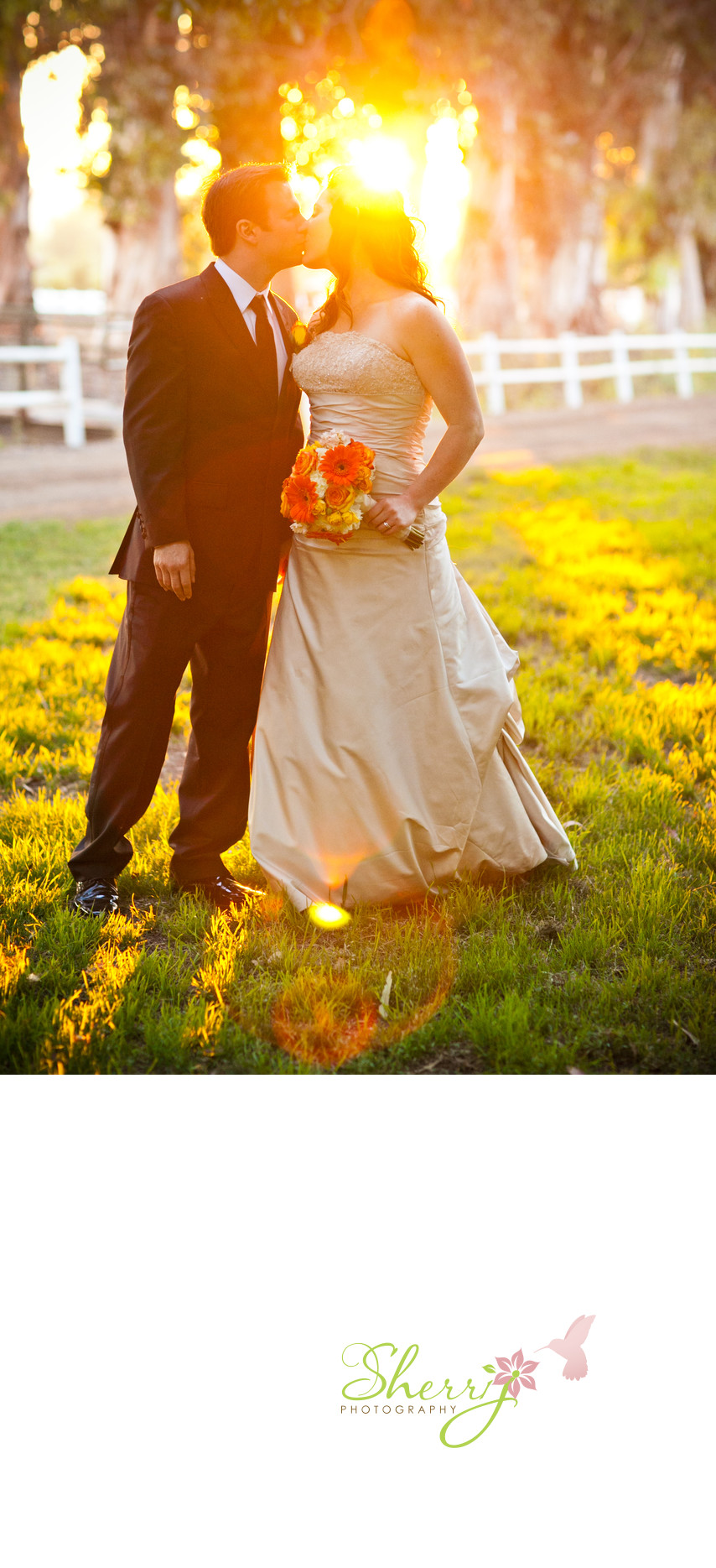 sunset kiss Walnut Creek wedding