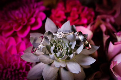 diamond wedding engagement ring set succulant