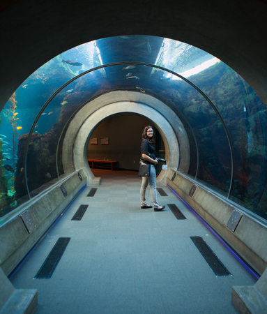 Sherri Johnson aquarium