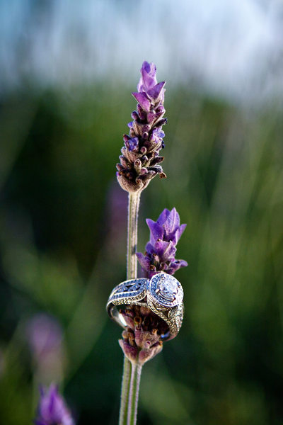 pretty diamond engagement ring