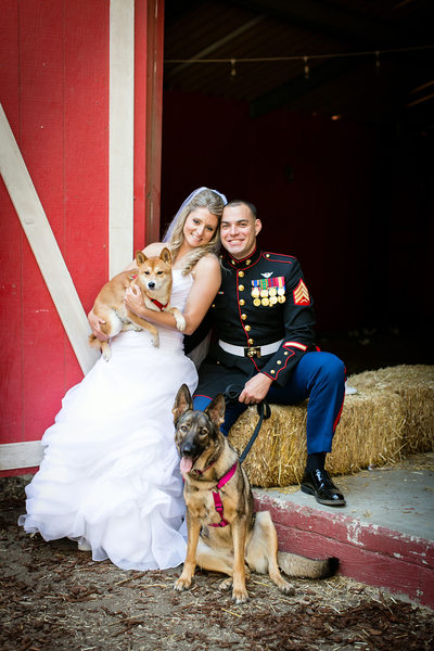 military wedding bride groom dogs barn