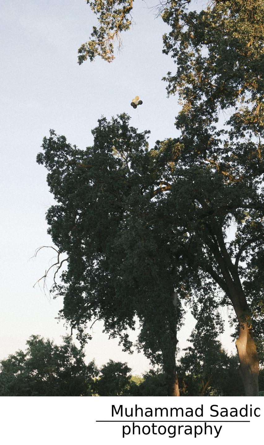 Day 24: Balloons for the lost