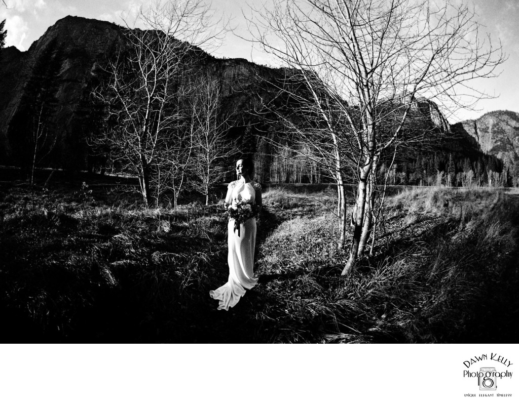 Yosemite bride black and white