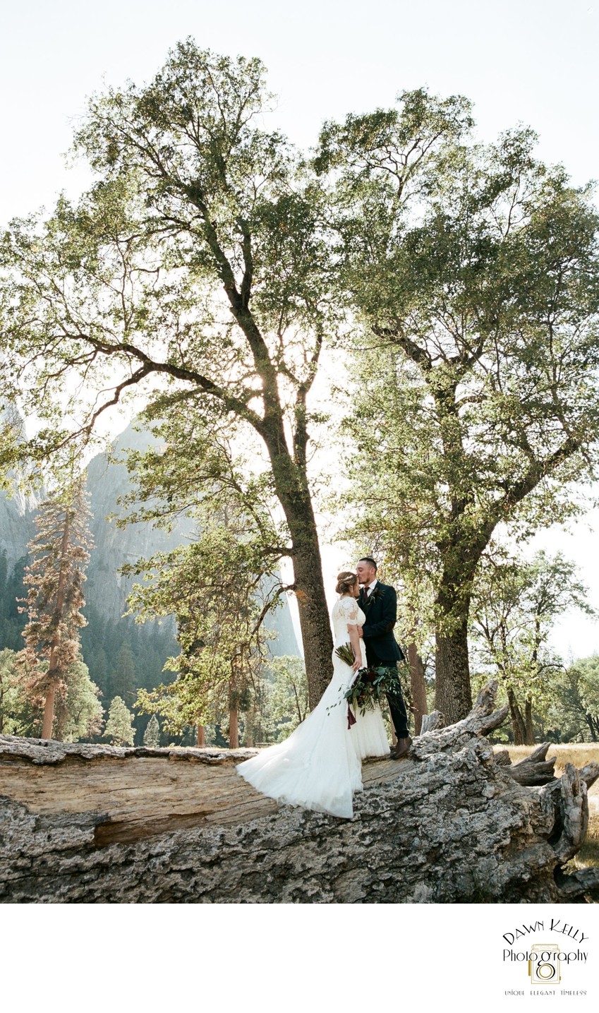 Bride and Groom Spring Yosemite Elopement 
