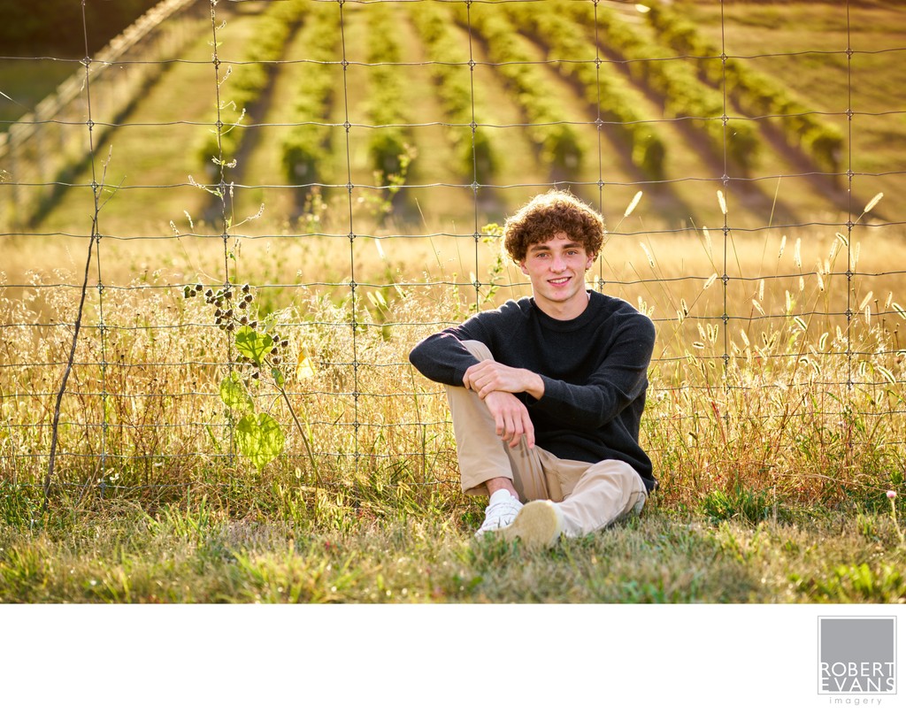 Visually pleasing  image has many great composition elements including depth of field