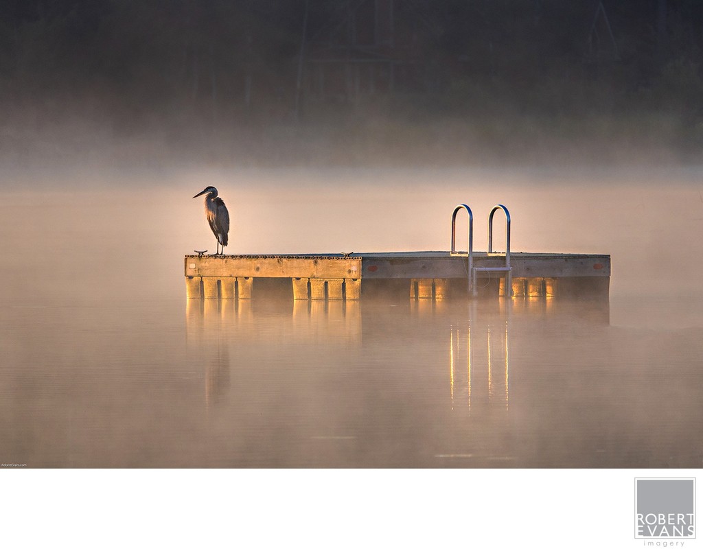 Sunrise Mist
