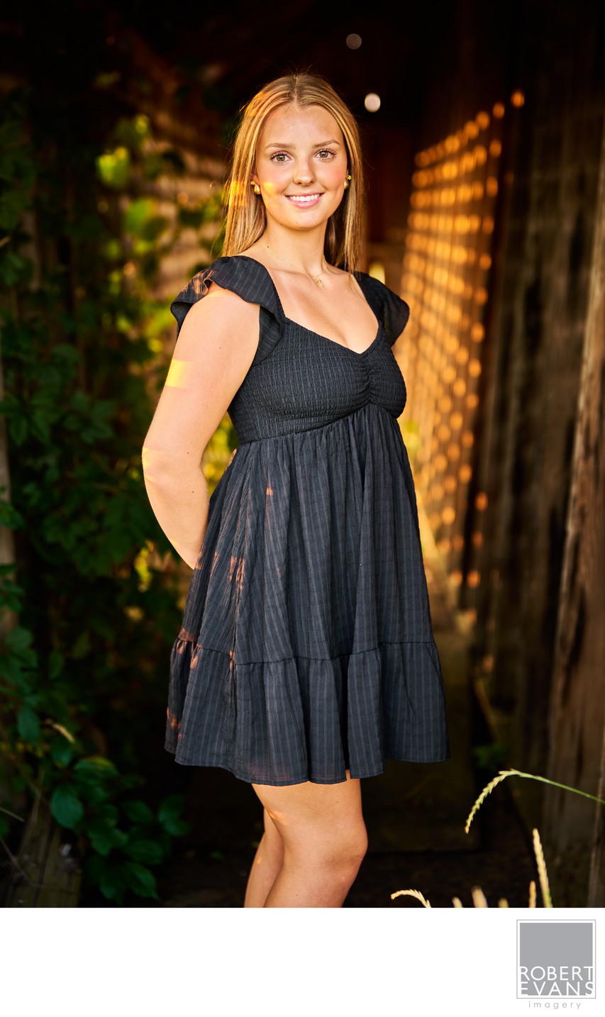 Elegant portrait of a brown haired girl in a black dress 
